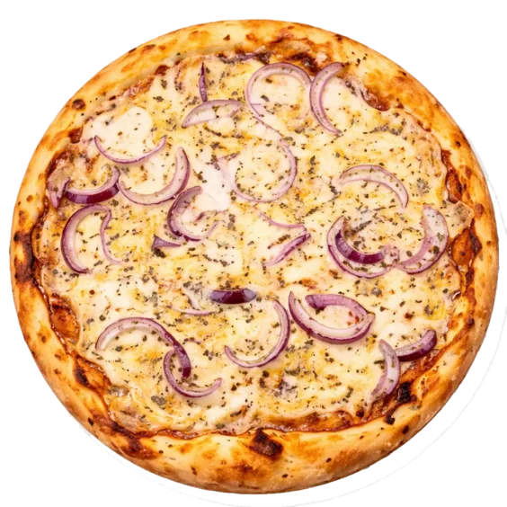 Pizza Cheese Onions Untitled 1 copy 564x564